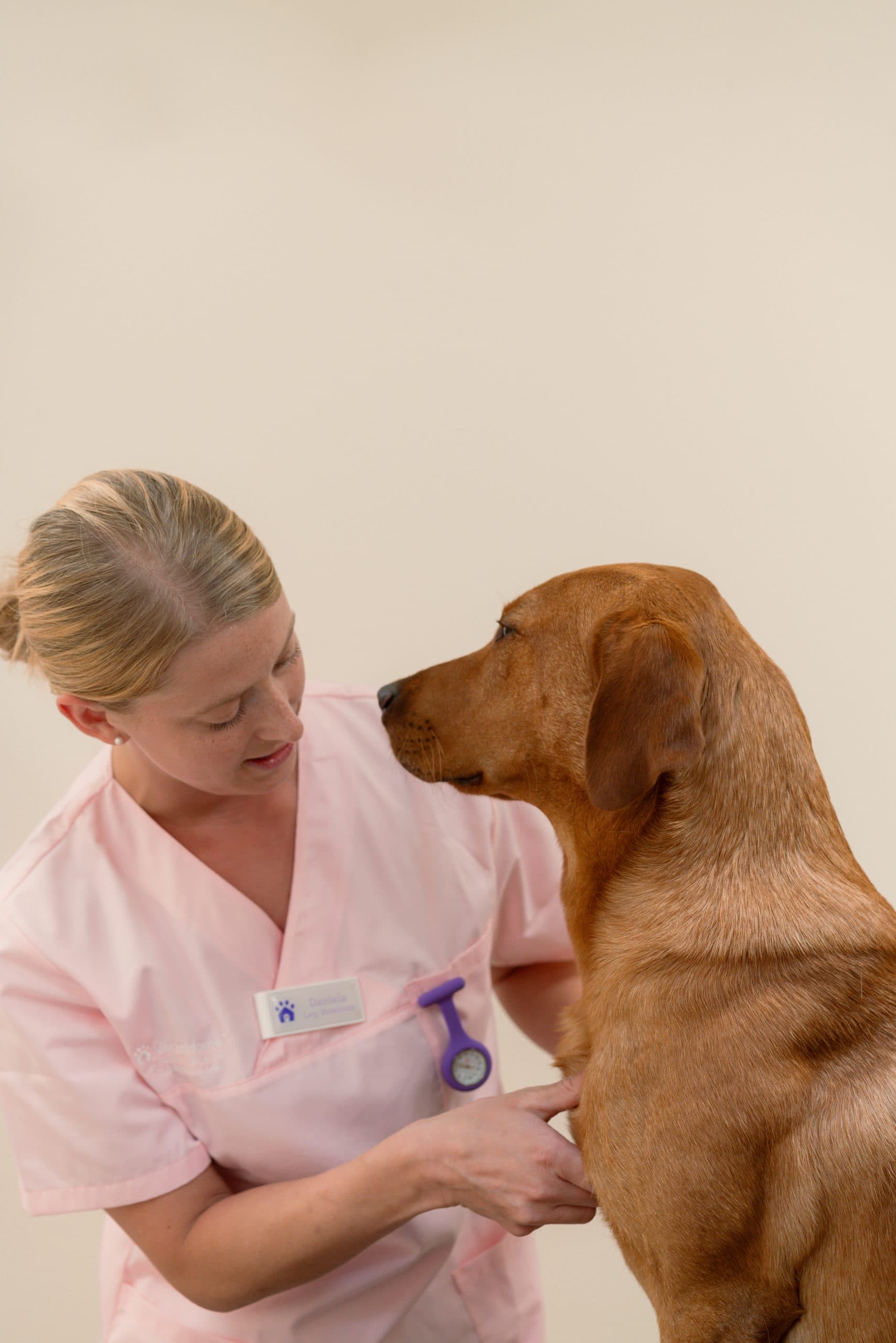 En veterinär och en hund