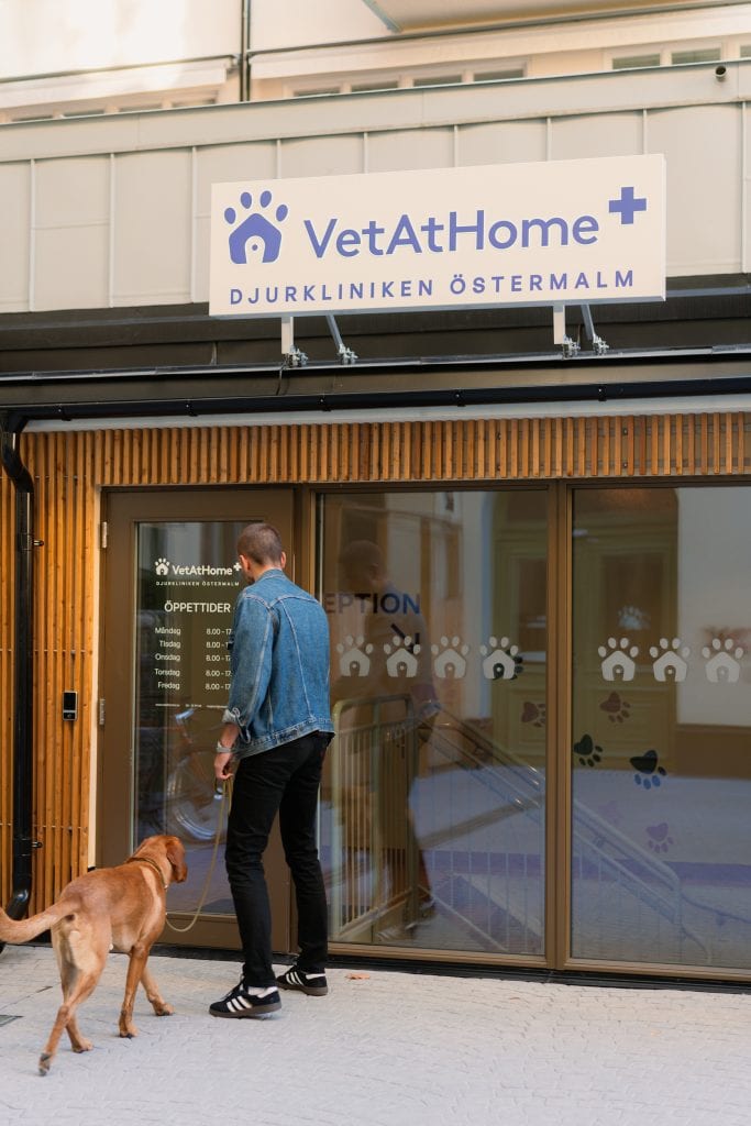 Akutdjursjukhus för hund och katt i Östermalm, veterinärklinik med hembesök. Specialiserad djurvård och omsorg.